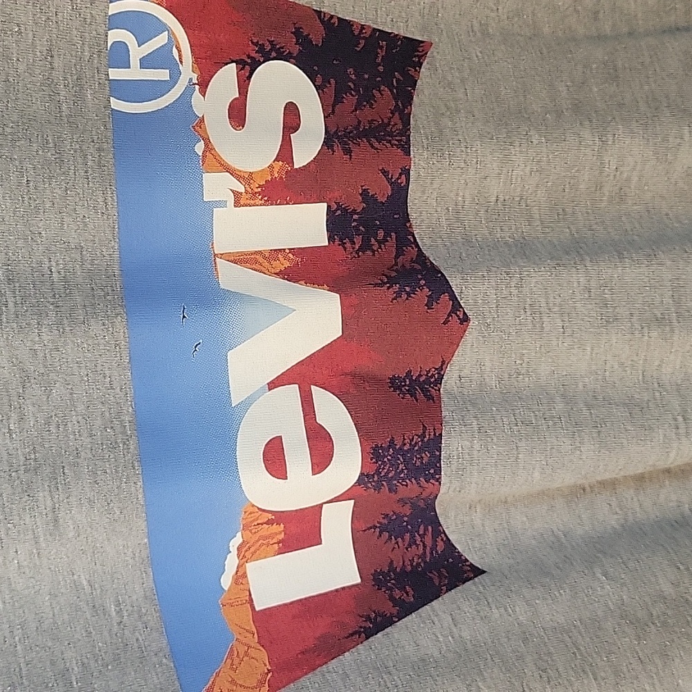 LEVI'S SHORT SLEEVE TEE L GRAY/BLUE - Picture 2 of 7